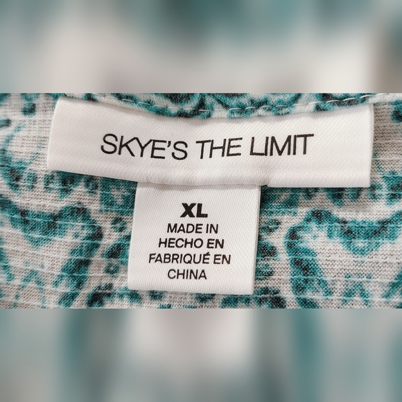 NWT Skye's The Limit Blue & White Patterned Button Front Top Sz XL - Picture 3 of 6